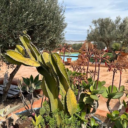 Olivares Rural Los Albaricoques Екстериор снимка