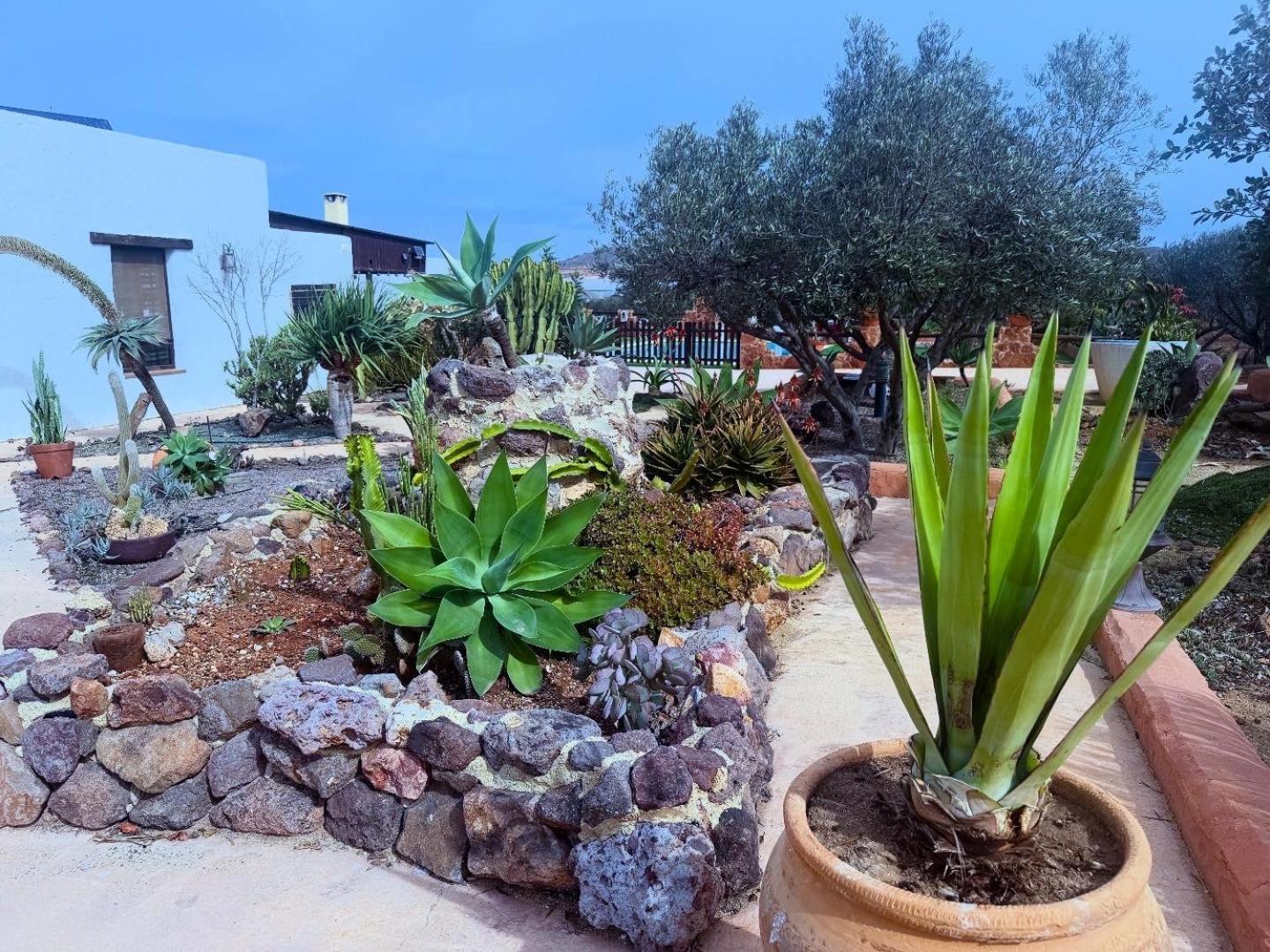 Olivares Rural Los Albaricoques Екстериор снимка