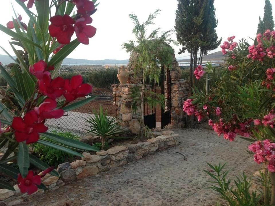 Olivares Rural Los Albaricoques Екстериор снимка
