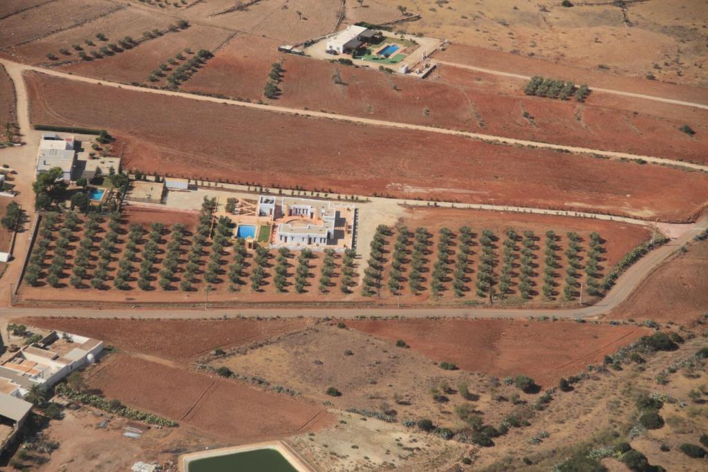 Olivares Rural Los Albaricoques Екстериор снимка
