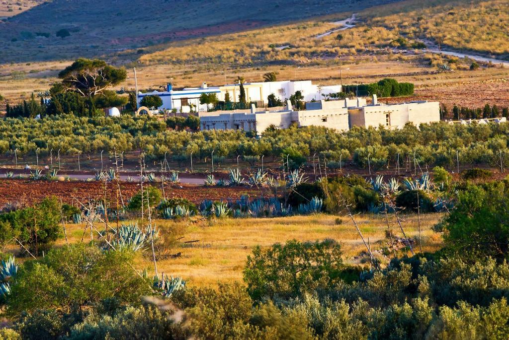 Olivares Rural Los Albaricoques Екстериор снимка